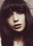 th_49473_daisy3_123_953lo.jpg